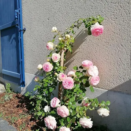 La Petite Boire - D'hotes Pres D'angers * Murs-Erigne