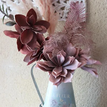 La Petite Boire - D'hotes Pres D'angers 3*