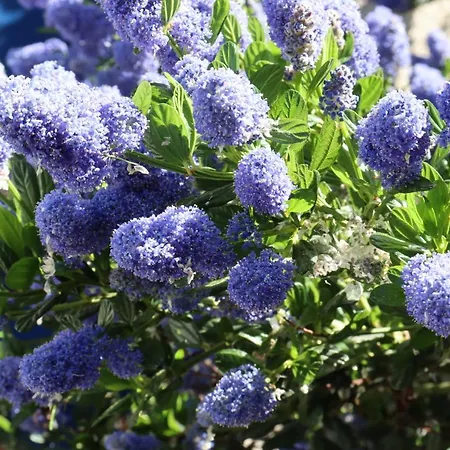 Bed & Breakfast La Petite Boire - D'hotes Pres D'angers 3*