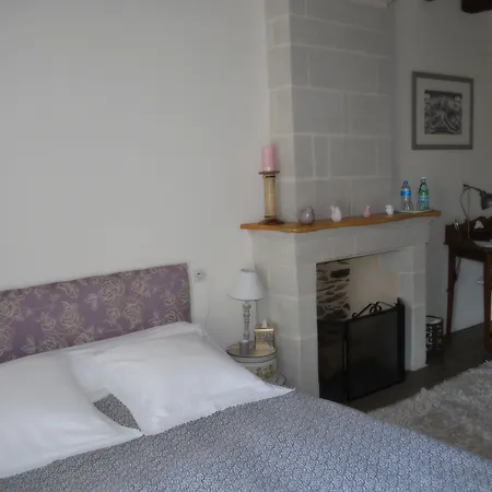 La Petite Boire - D'hotes Pres D'angers 住宿加早餐酒店 3*