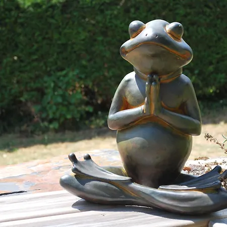 La Petite Boire - D'hotes Pres D'angers