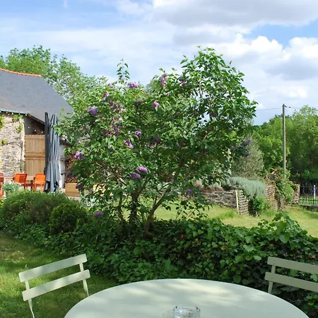 La Petite Boire - D'hotes Pres D'angers 住宿加早餐酒店
