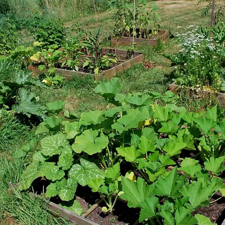 Panzió La Petite Boire - D'hotes Pres D'angers