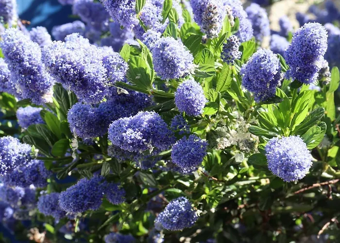 Couette-café La Petite Boire - D'hôtes 3*