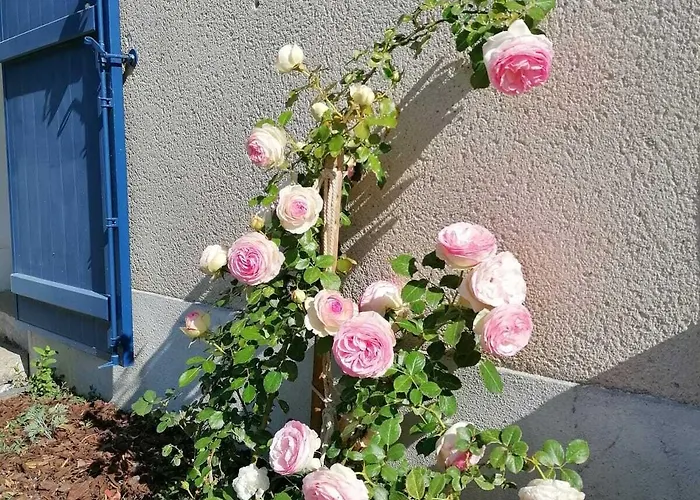 Couette-café La Petite Boire - D'hôtes Murs-Erigne