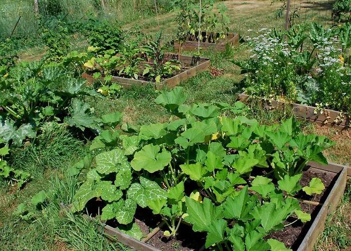Couette-café La Petite Boire - D'hôtes